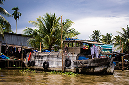 Delta Mekongu