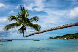 Koh Tao