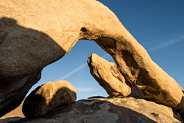 Joshua Tree