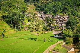 Kampung Naga