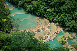 Semuc Champey