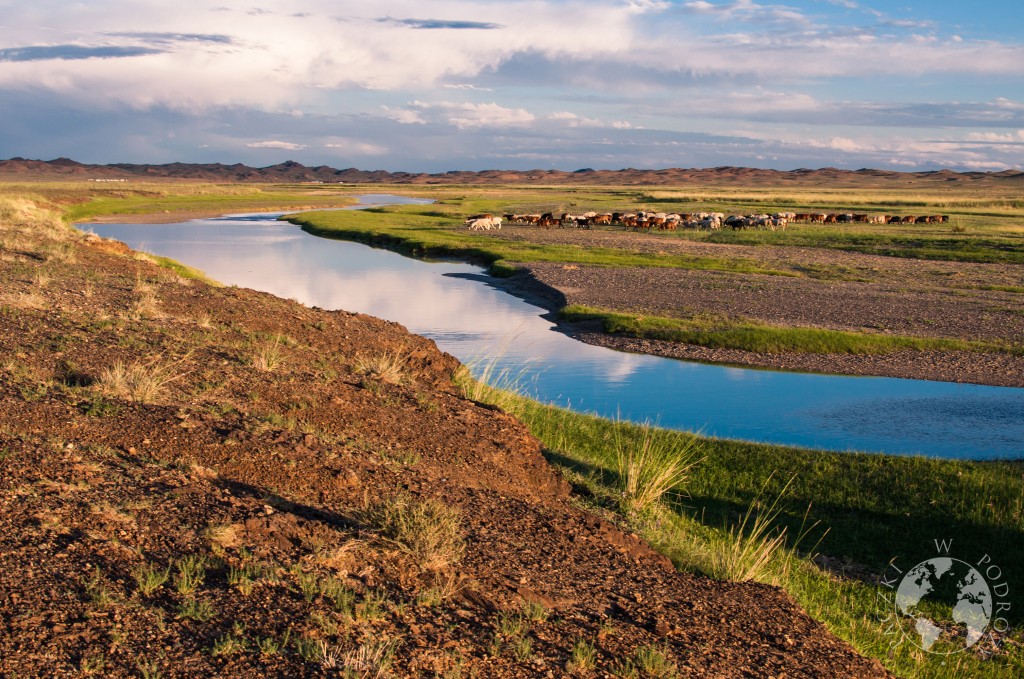 Pastwisko i rzeka płynąca przez step, Mongolia