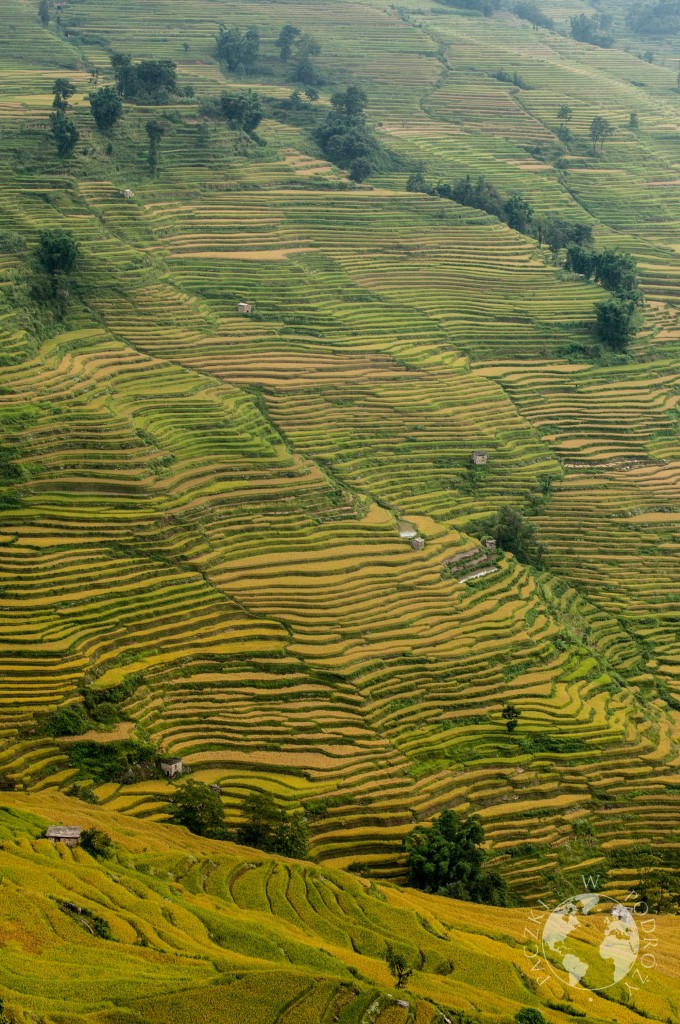 Tarasy ryżowe yuanyang, Chiny