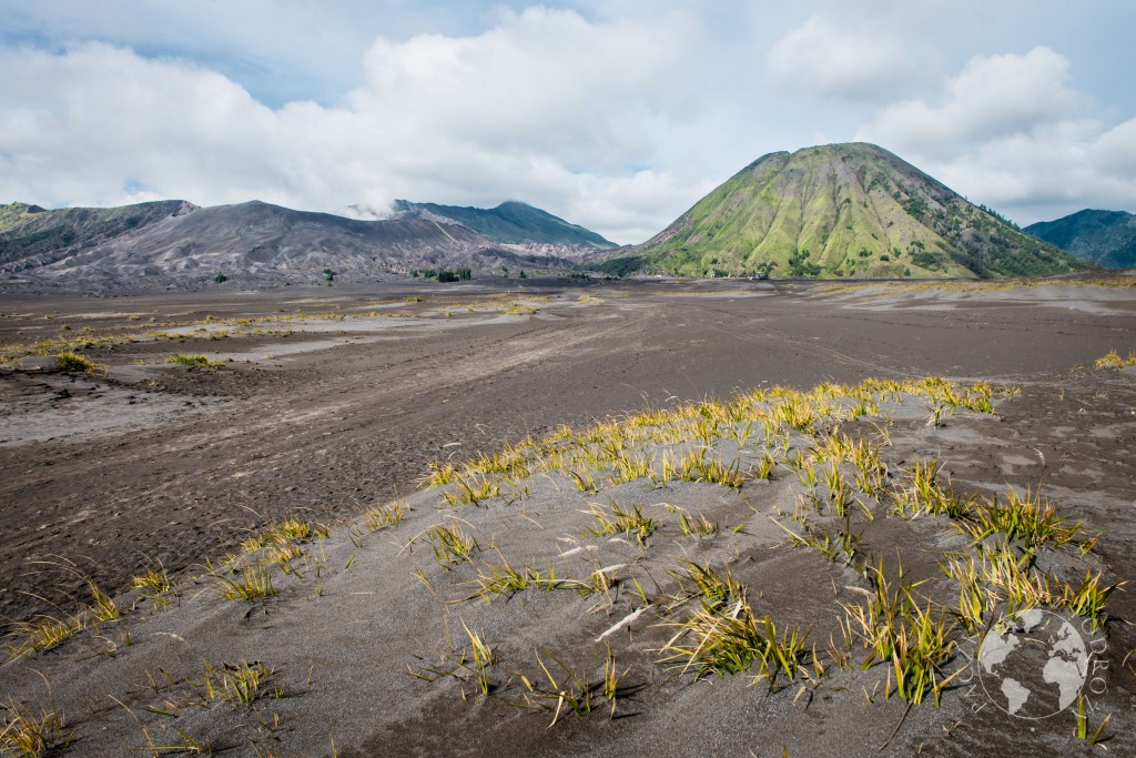 bromo-1