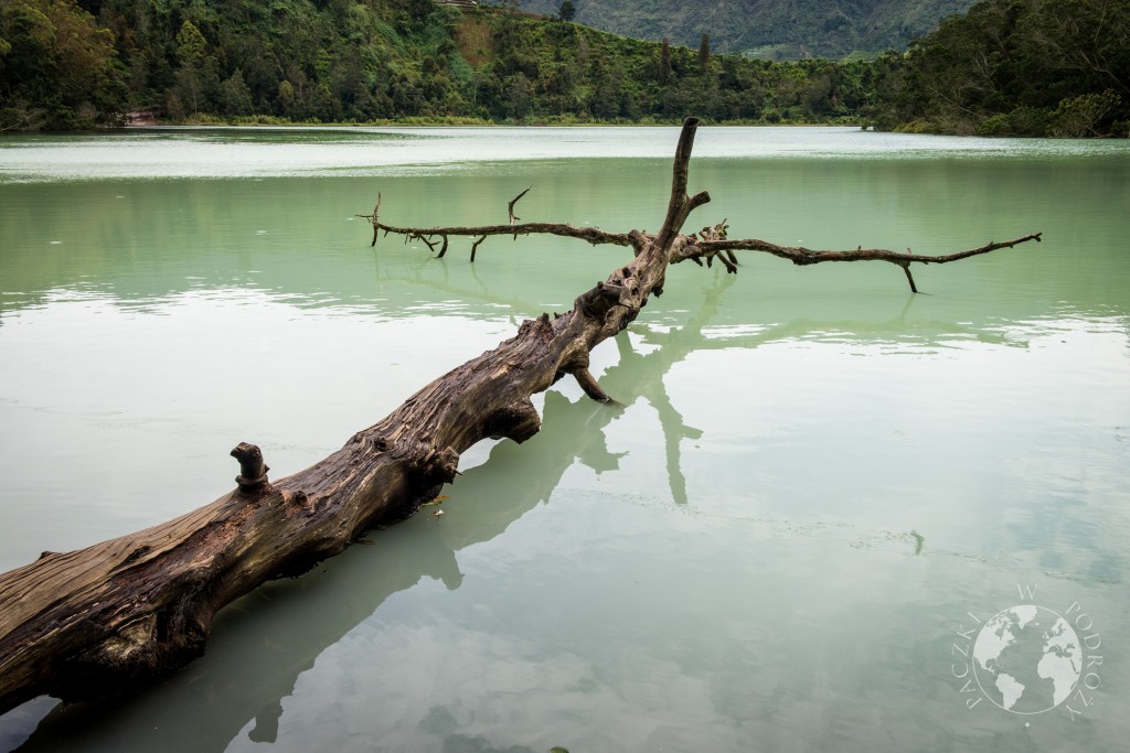 dieng-1