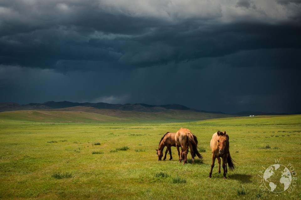 mongolia centralna-6