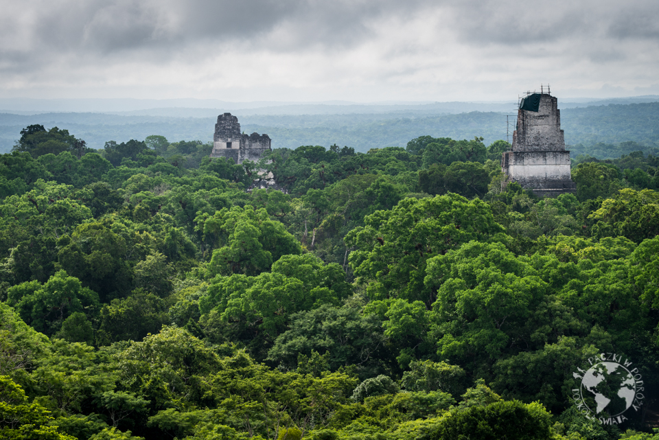 tikal-3