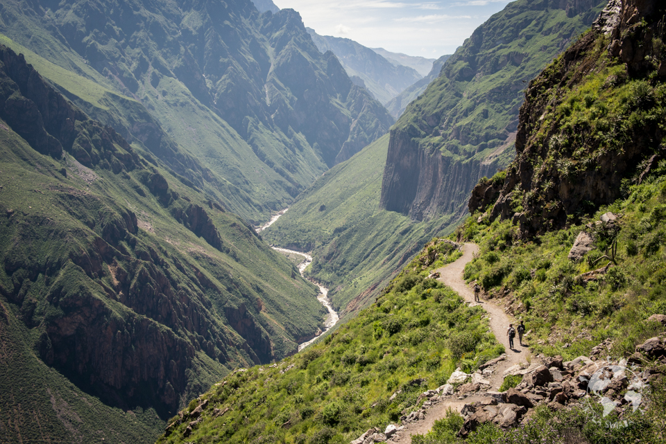 kanion colca-5