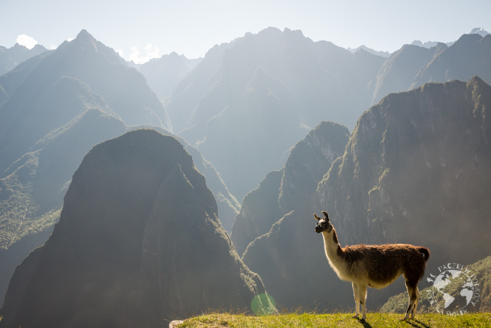 machu picchu-6